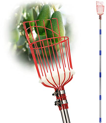 DonSail Fruit Picker Pole Tool with Basket Long Handle, 35-65 Inch Adjustable Apple Orange Picker Pole Tool with Basket for Avocado Acorn Lemon Pear Mango Tree Picker