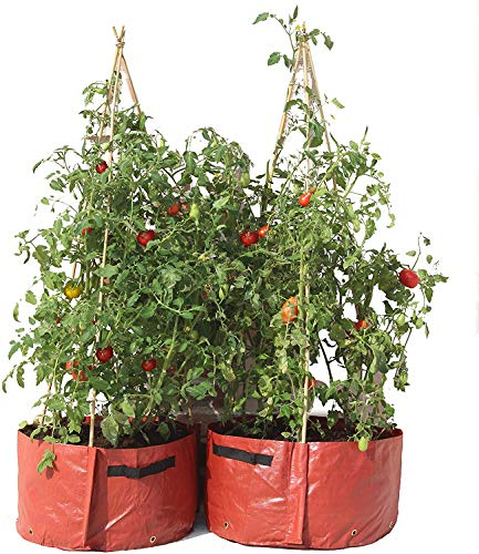 Muddy Hands Pack of 2 Tomato Planters Vegetable Plant Growing Bags Outdoor Garden Grow Bag Pots Containers