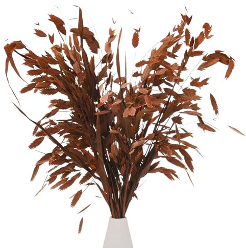 M METERXITY 20-Pz Mazzo Erba Essiccata 17 Chasmanthium Bouquet Fiori Secchi Erba Avena per Riempitore Vasi/Decorazione Casa Fiori Secchi Arrangiamento Pianta Reale Steli Verdi [Rosso Rosa]