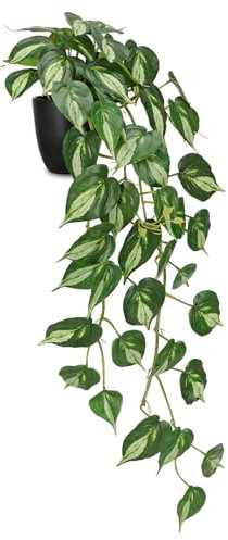 Hollyone Künstliche Pflanzen Hängend 85cm Golden Pothos Zimmerpflanze Gefälschte Efeupflanze Künstliche Hängepflanze im Topf für Haus Zimmer Regal Büro Tischdeko Hellgrün