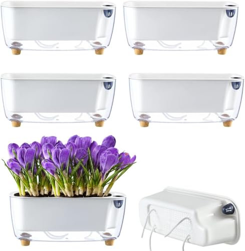 USTEL Clear Selfwatering Planters, 30 x 11,7 cm, set da 5 pezzi, rettangolari, trasparenti, per orchidee e violette, autoirriganti