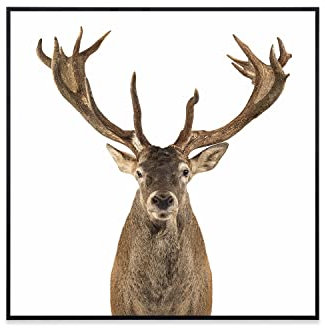 Klarstein Radiador Infrarrojos Pared Potencia 350W, Placa Calor Bajo Consumo IoT/WiFi App, Panel Radiante Bajo Consumo, Infrarrojos Calefaccion, Calefactores Infrarojos Panel Radiante Pared