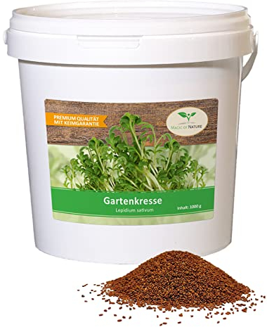 1 kg frische Kresse Samen - Gartenkresse - Microgreens für die Küche im Vorratseimer
