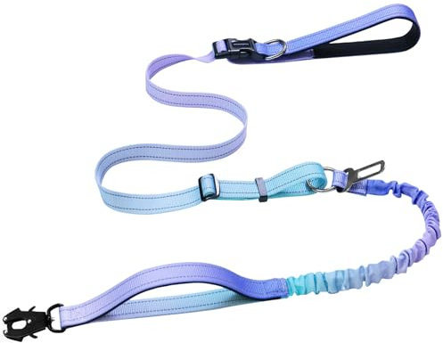 Strapazierfähige Hundeleine mit Schnellverschluss-Karabiner und verstellbarem Bungee-Zugband, für Spaziergänge und Training, mit Auto-Sicherheitsgurt, 1,2 - 1,8 m, Violett