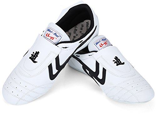 Alomejor Taekwondo Shoes, Lightweight High Support Martial Arts Footwear, Breathable Design for Kung Fu Boxing Karate Tai Chi Athletes