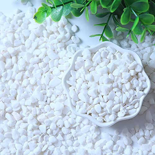 Galet, pavé poli 0,4-1,2 (1-3 cm) Pavage Allée de jardin Paysage Haute brillance Pluie Fleur Pierre Réservoir d'eau Fish Tank Section Pierre 1,1 lb (blanche)