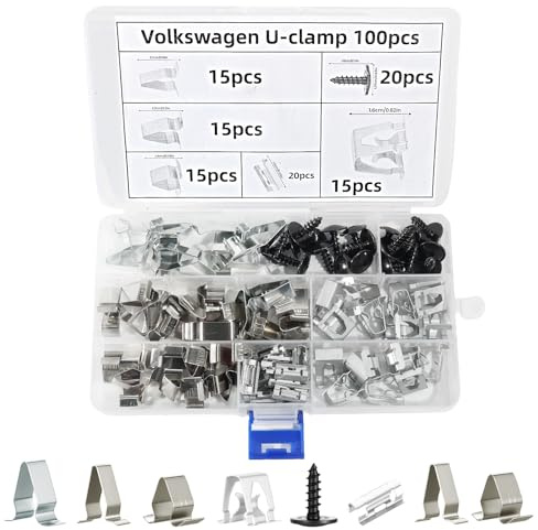 100 Pezzi di Fermaglio per Cruscotti in Metallo, Set di Clips di Fissaggio per Console, Clip Metalliche Auto Fermaglio per Paraurti Cofani