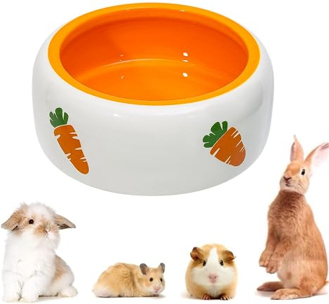 Ciotola in Ceramica Carrot Ciotole per Animali Domestici Ciotola dell'acqua Ciotola per Cibo per Conigli Riccio Criceti Porcellino D'India Furetto Gattino Cucciolo (Ciotola Rotonda)