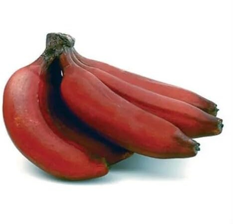 100 semi di banana rossa