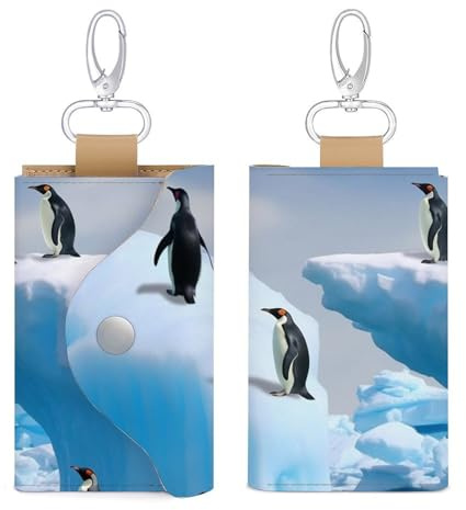 HJKBCV Housse de protection en cuir pour clés de voiture, mini pingouins sur l'iceberg, pochette antivol étanche pour clés de voiture, cartes bancaires, pièces de monnaie, style, taille unique, Style