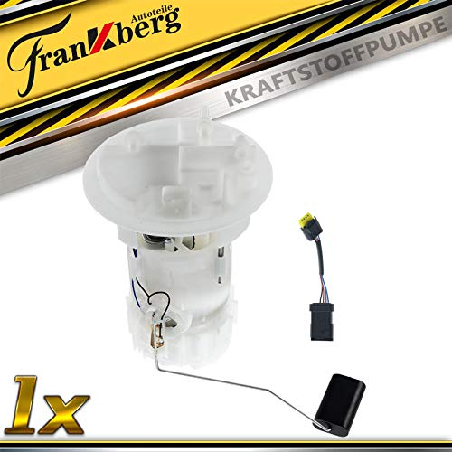 Frankberg Kraftstoffpumpe Benzinpumpe Kraftstoff-Fördereinheit Modul Satz ohne Drucksensor 4-Polig Kompatibel mit 207 WD_ 207 WK_ 207 WA_ WC_ C3 Picasso Replace# 1525PY,1525GY