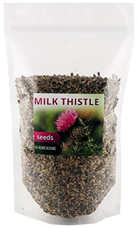Mjölktistelfrön hela, sorten Silma, Silybum marianum 1kg