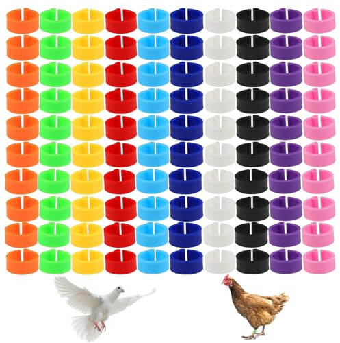 DHWEKU 10mm 100 Stück GeflüGel FußRinge mit bunter - 10 Farben,BrieftaubenfußRing KleingeflüGel Klemmringe HäHnchen Beinringe Taubenring,für Enten Küken Huhn Meertauben Gans Wildgeflügel Pute