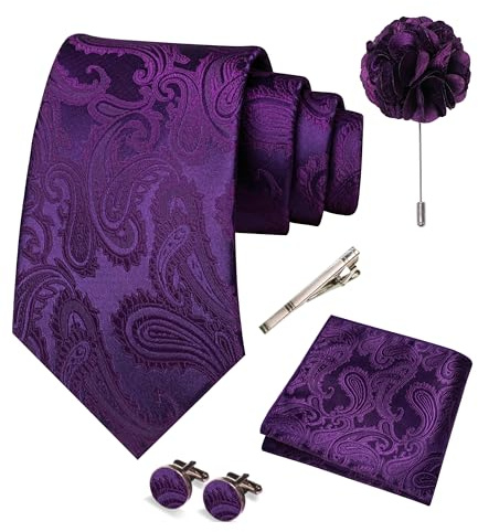 RBOCOTT Paisley Tie and Pocket square With Cufflinks,Lapel Pin,Tie Clip Sets for Men 5PCS