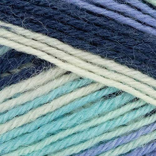 West Yorkshire Spinners Signature 4 Ply 878 Winter Icicle