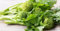 1800 Semi DI CIMA DI RAPA LECCESE:Seeds Only
