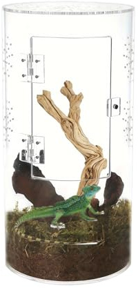 Glareptiler – terrarium – tillväxt mini reptil tank | akryl matningslåda, akryltransparent insektsmiljö terrarium fall, 20 × 12 × 12 cm för böner mantis, spindlar, ödlor, sniglar gecko