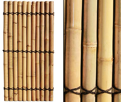 Bambuswand Apas20 180 x 90cm aus dicken gelblichen Bambusrohren mit 7,5-9cm Durchmesser - Starre Bambus Sichtschutzwand 1,8m x 0,9m