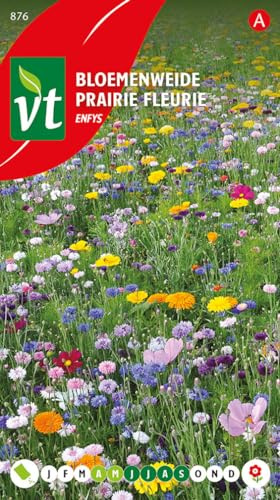 Pradera en flor Enfys - semillas de flores
