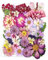 YoothBro Fiori Pressati Viola Secchi per Stampi in Resina, Veri Fiori Pressati Naturali Per Fai Da Te, Produzione Di Candele, Decorazione Unghie, Produzione Di Sapone, Custodie per telefoni