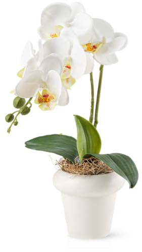 PASCH® Orchidee artificiali in vasi di ceramica lucida (46 cm), fiori artificiali in vaso, fiori artificiali come reali, orchidee artificiali in vaso (bianco)