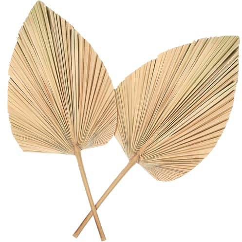 NOLITOY Abanico de Palma Seco Forma de Corazón 2 Piezas Hojas de Palma Secas Tallo 30X25 CM para Decoración de Bodas Fiestas y Centros de Mesa