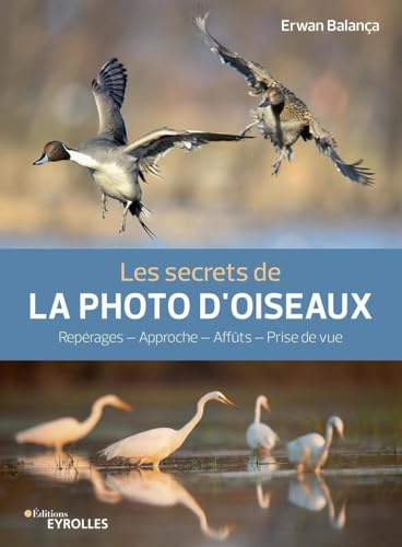 Les secrets de la photo d'oiseaux: Repérages - Approche - Affûts - Prise de vue