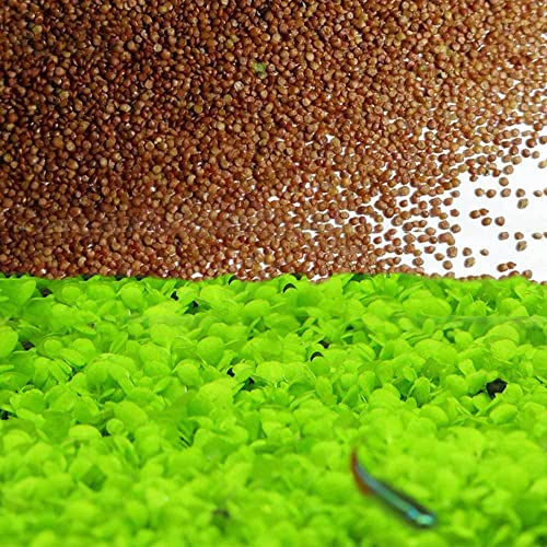 Grass Seeds Fast Growing,10g About 7500Pcs Organic Aquatic Plants Grass Seeds for Fish Tank Aquarium(Small Double Leaves)