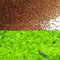 Grass Seeds Fast Growing,10g About 7500Pcs Organic Aquatic Plants Grass Seeds for Fish Tank Aquarium(Small Double Leaves)