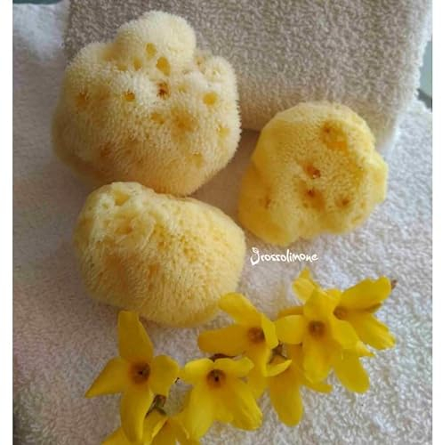 Natürlicher Meeresschwamm - Menstruation