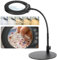 Sprifityy 10-fache Vergrößerungs-Schreibtischlampe mit Licht und Ständer,5 Einstellbare Farben,Dimmbare Beleuchtete Vergrößerungsglas,Hände frei Flexible Schwanenhals Lupe für Lesen,Nähen,Basteln