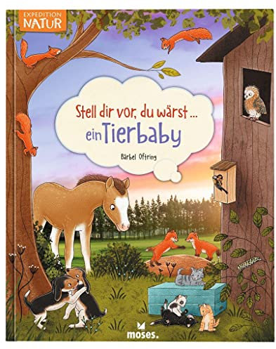 moses. Stell dir vor, du wärst ein Tierbaby, Spannendes Tierbuch für Kinder ab 5 Jahren