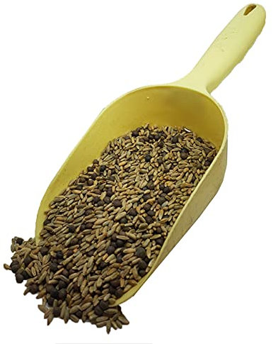 1Kg Rye and Vetch Over Winter Mix Green Manure Seeds