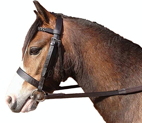 Cuir de qualité Hunter Bridon avec frontal tressé et rênes en caoutchouc, noir, Poney