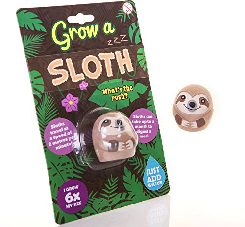 Boxer Gifts Grow a Sloth Toy - Kids Christmas Stocking Fillers - Children's Sloth Gifts - Boys & Girls Birthday Presents - Pass The Parcel Prize