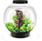biOrb 72005 CLASSIC 30 LED, 30 L, schwarz - dekoratives, rundes Acryl-Aquarium, Komplett-Set mit patentiertem Filtersystem, LED-Beleuchtung