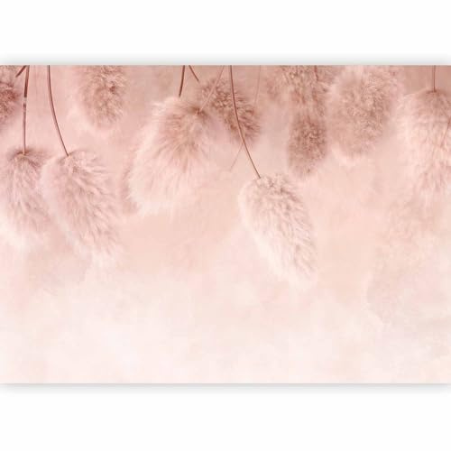 murando Carta da parati Boho 400x280 cm Fotomurali in TNT Murale alla moda Decorazione da Muro XXL Poster Gigante Design Cameretta Carta per pareti Camera da Letto marrone beige natura b-C-10081-a-a