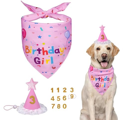 13Pcs Dog Birthday Party Set with Dog Birthday Hat, Clothing & Accessories for Dogs, Bandana, Bandana Scarf, Glitter Number Cake Decorations for Puppy Girl Celebration Gifts