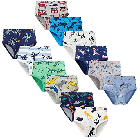 LeQeZe Boys Underwear Dinosaur Toddler Briefs 12 Pack Pure Cotton Kids Underpants 2-3 Years (Boys Briefs 01,Manufacturer Label 100)