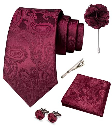 RBOCOTT Paisley Tie and Pocket square With Cufflinks,Lapel Pin,Tie Clip Sets for Men 5PCS