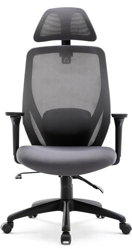 HNNHOME Recline Ergonomic Office Chair with Back Support and Headrest, Tilt Function Position Lock, Home Office Computer Desk Chair with Lumbar Support, Breathable Mesh Executive Office Chair