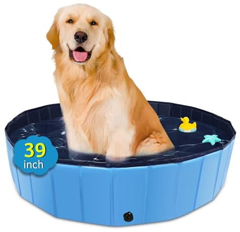 CACSPS Foldable Dog Pool, 39 x 12 Kiddie Pool with Hard Plastic, Non-Slip Dog Bath Tub for Outdoor Backyard, Collapsible Dog Swimming Pool for Kids Dogs Pets (Blue)