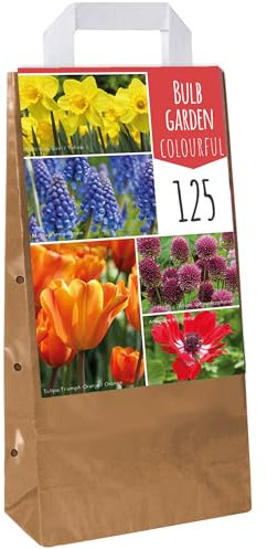 Giardino di Bulbi Mix Colorato Tulipano Anemone Allium Muscari Narciso Bulbi Fioriti (125 Bulbi)