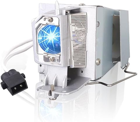 Générique Huaute BL-FU195A SP.72G01GC01 Replacement Projecteur Lampes adaptées pour OPTOMA DAWSUU DS349 DW441 DX349 S340 S341 TW342 W340 W341 W344 W345 W354 W355 X340 X341 X344 X345 X354 X355