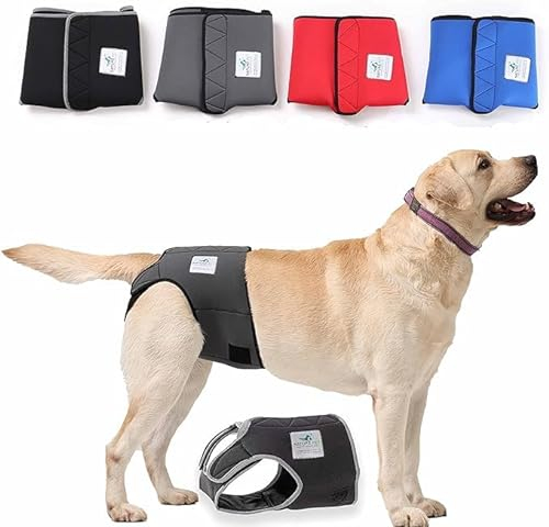 Nature Pet Hunde-Läufigkeitshose für Hündinnen - Hundewindel für Rüden - Kein lästiges Einfädeln der Rute - Inkontinenz Hundehöschen - (XS-L Schwarz)