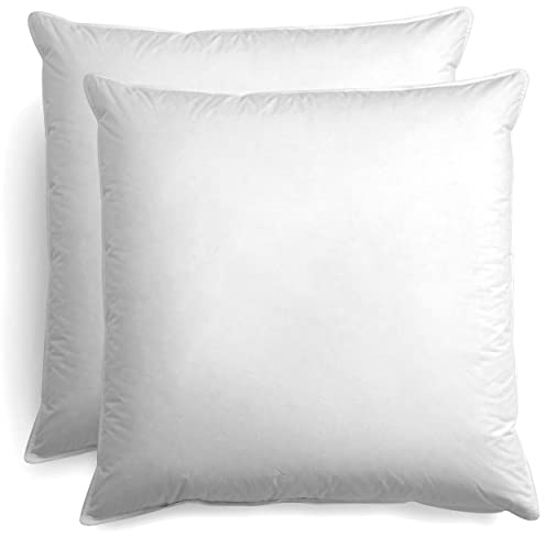 BEFA NATUR Kopfkissen 80x80 cm (2 Stück) | Primaloft Bio® - hochwertige, Funktionelle Mikrofaserfüllung | vegane Daunenalternative | 1500g Füllgewicht/Stück | Oeko-TEX 100 Klasse 1 | Made in Germany