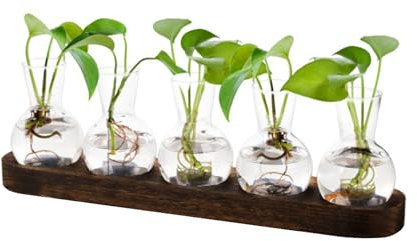 Vase en Verre, Station De Propagation De Plantes, Terrarium pour Plante avec Support en Bois, Vase à Bulbes pour Plantes Boutures Hydroponiques, Vases à Fleurs Décoration Maison, Bureau Et Patio (02)