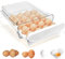 QINERSAW Boite Oeufs Plastique 20 Oeufs 24,5x12x7cm Rangement Oeufs Frigo Boite Oeufs Porte Frigo Aupport Oeufs Porte Frigo Bac a Oeufs Porte Frigo Porte Oeufs Frigo Boite à Oeufs de Rangement