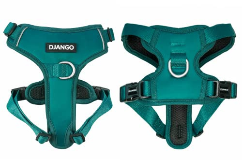 DJANGO Tahoe No Pull Dog Harness – Escape-Proof Dog Harness for Small & Medium with Front & Back Clips for Everyday Use – Adjustable, Padded, Reflective, Secure Fit, Easy On/Off – Dark Teal, Medium