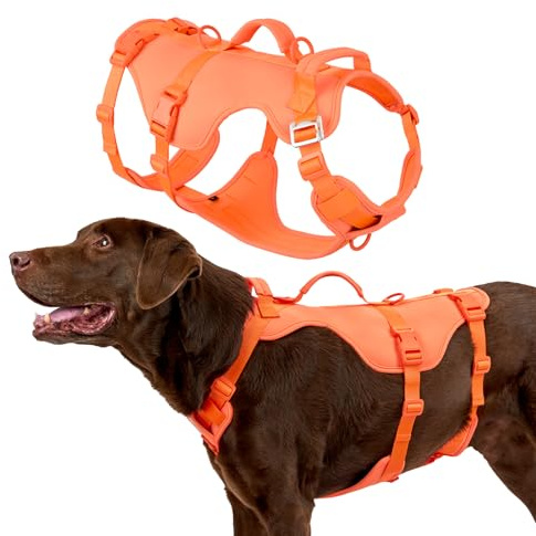 Arblina Arnés Anti-Fuga para Perros, Anti-tirón para Razas Medianas/Grandes, Equipo con Asa y Hebilla Delantera, Chaleco Ligero y Fácil de Poner, Naranja, L